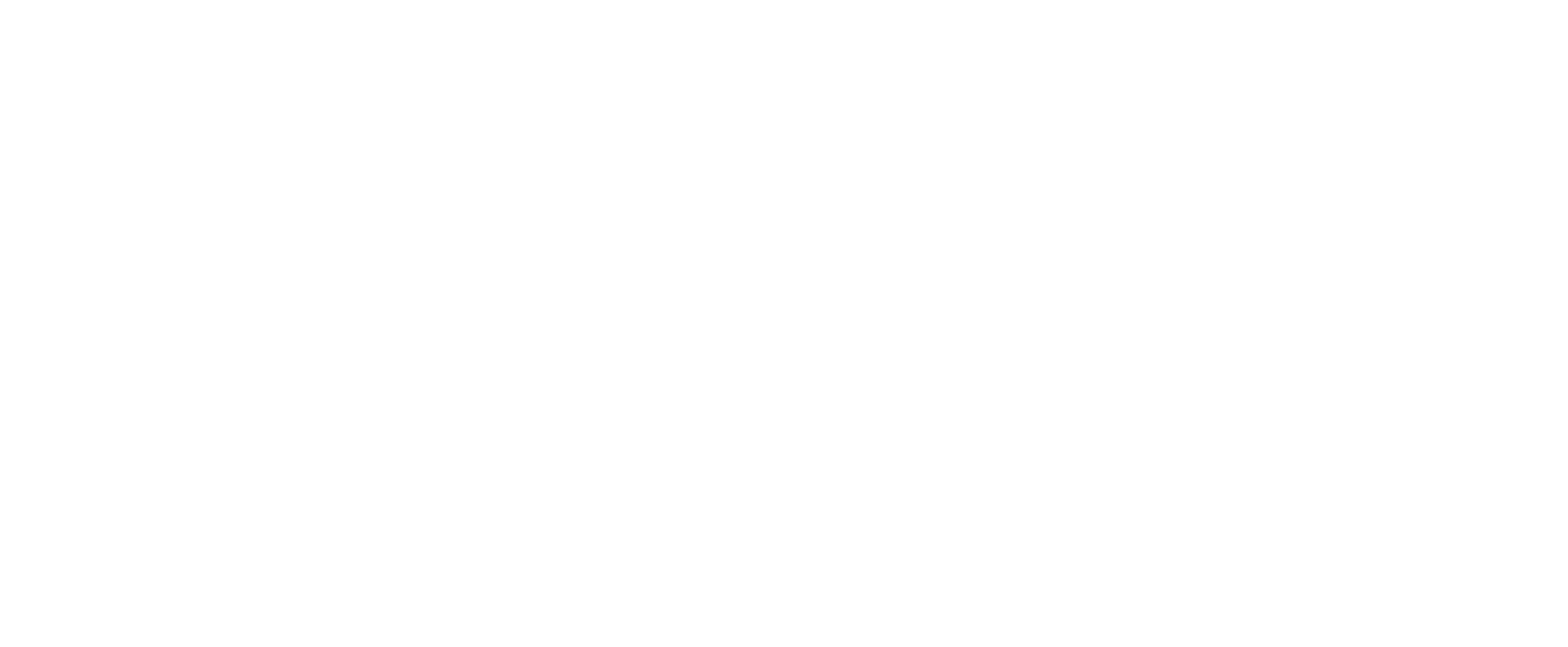 Langley Mechanical Services Logo White